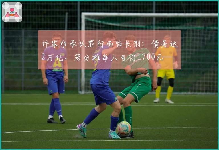 许家印承认罪行面临长刑：债务达2万亿，若分摊每人可得1700元