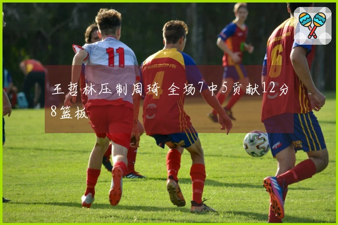王哲林压制周琦 全场7中5贡献12分8篮板