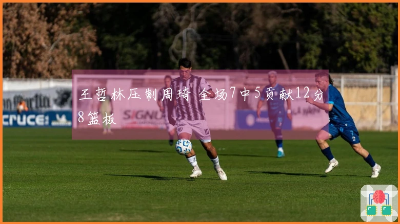 王哲林压制周琦 全场7中5贡献12分8篮板