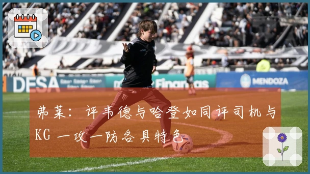 弗莱：评韦德与哈登如同评司机与KG 一攻一防各具特色