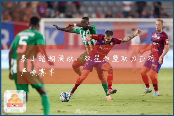 泰山暗潮涌动，双星加盟助力应对严峻赛季
